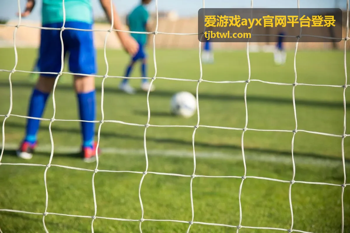 爱游戏ayx实名认证与登录限制说明