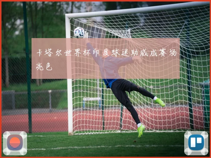 卡塔尔世界杯印度球迷助威成赛场亮色